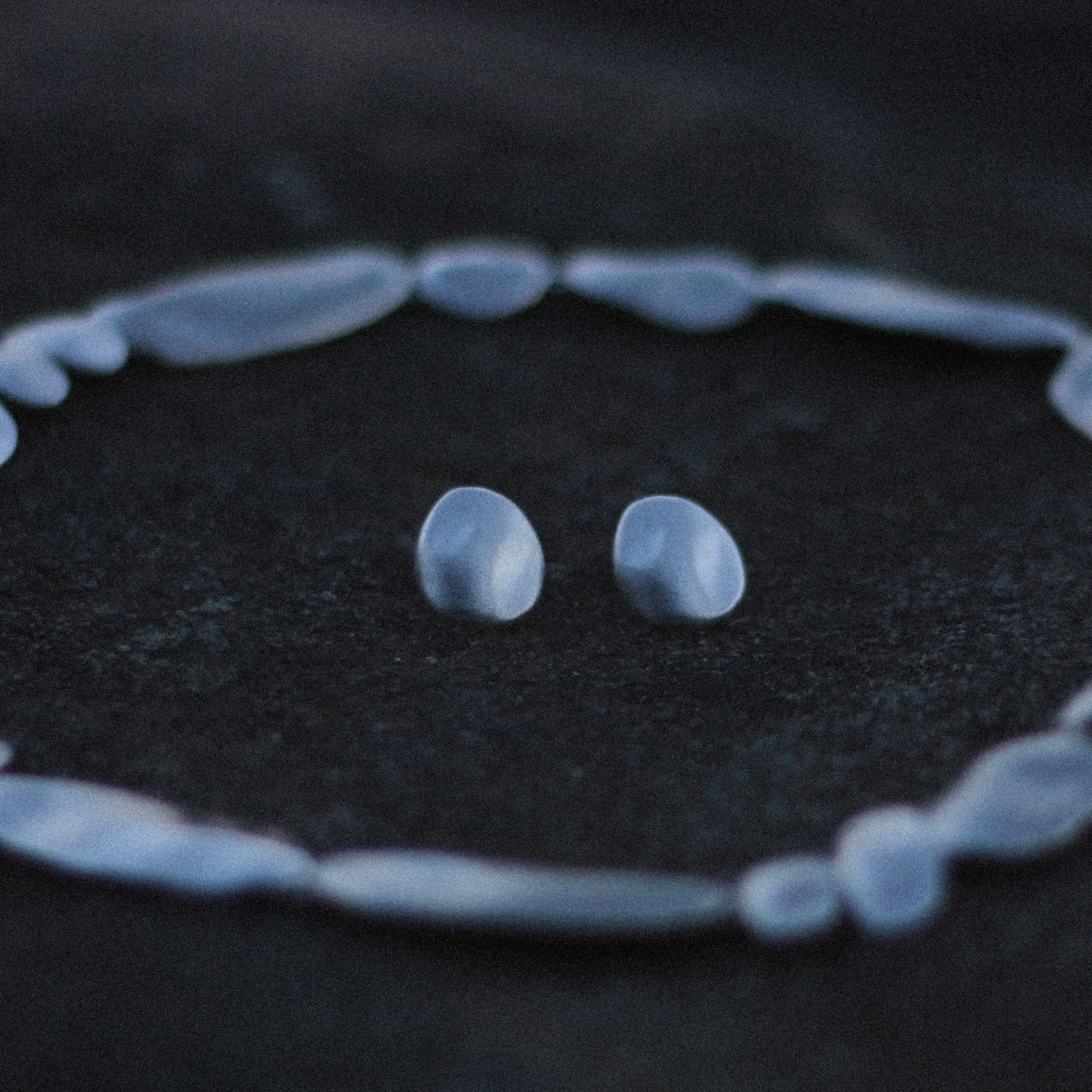 Usva korvakorut S - Image 2