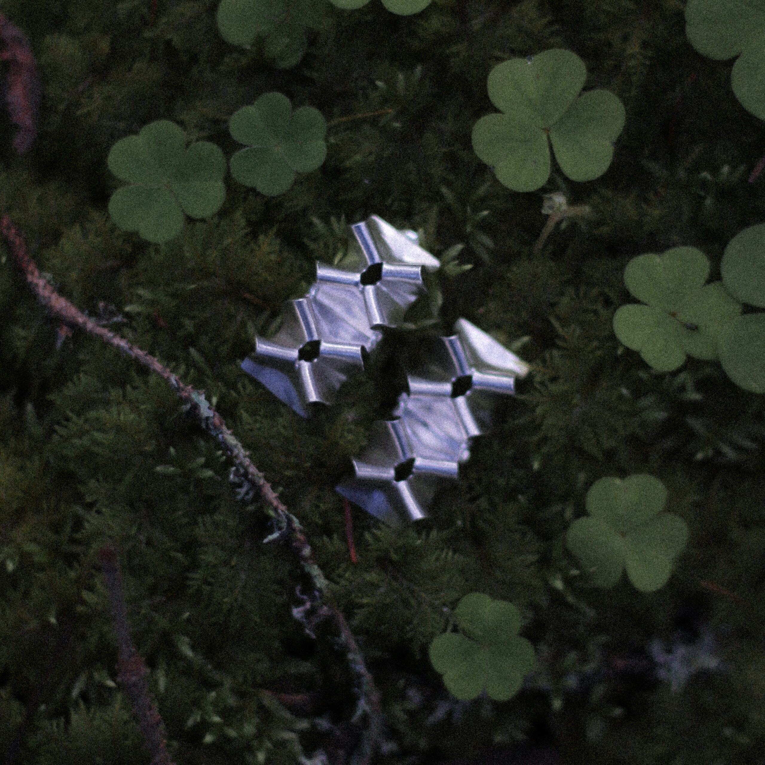 Polku korvakorut L - Image 3