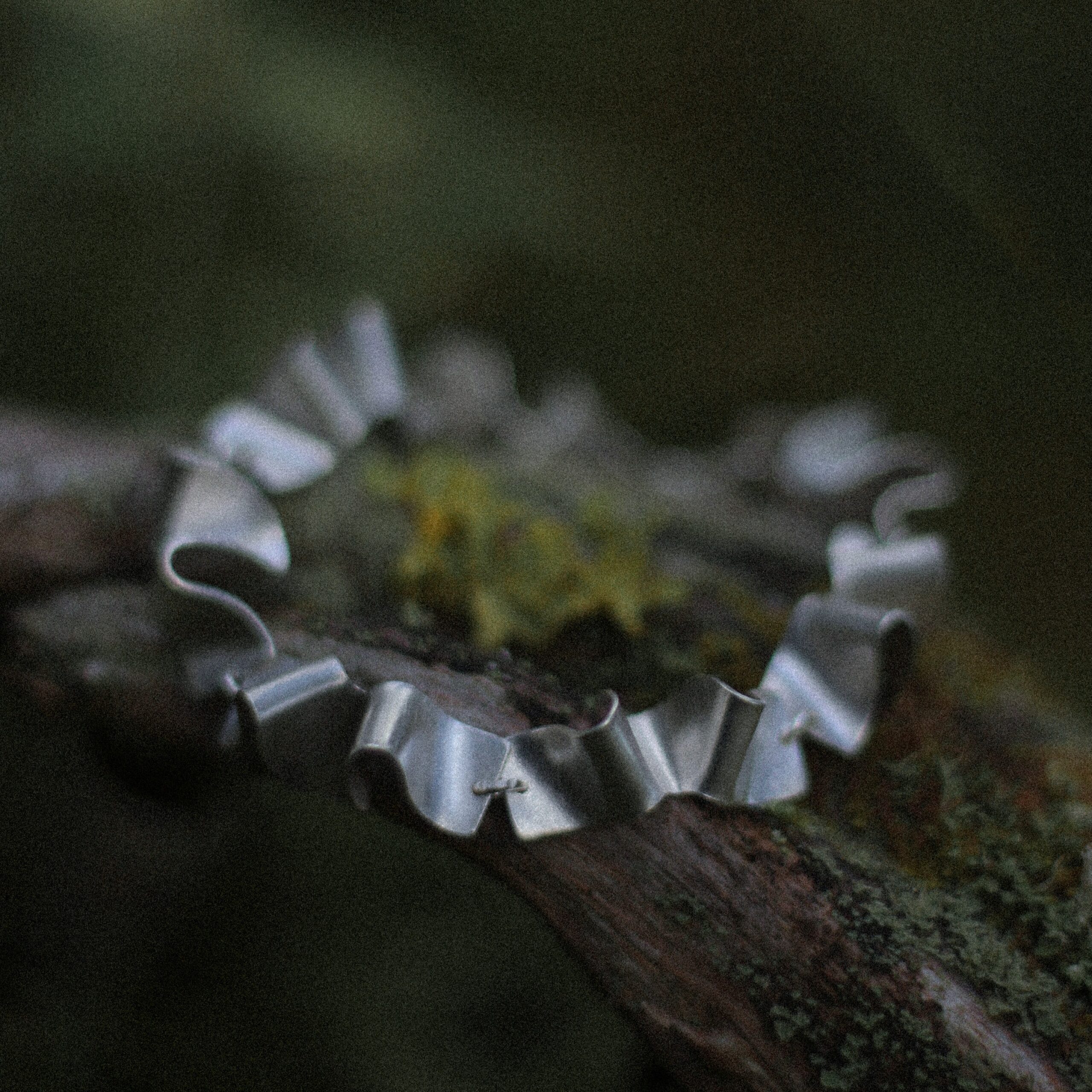 Polku rannekoru - Image 3