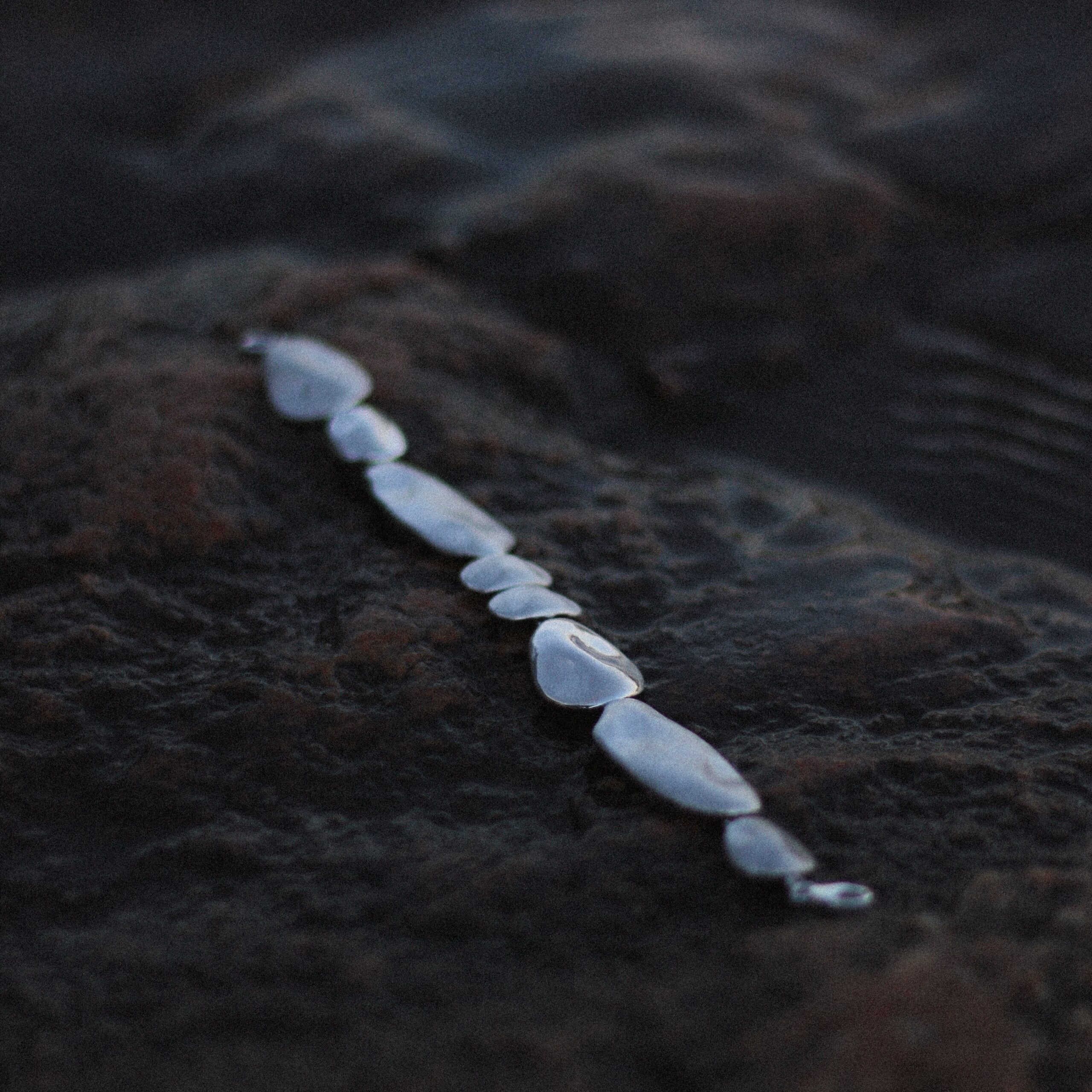 Usva rannekoru - Image 2